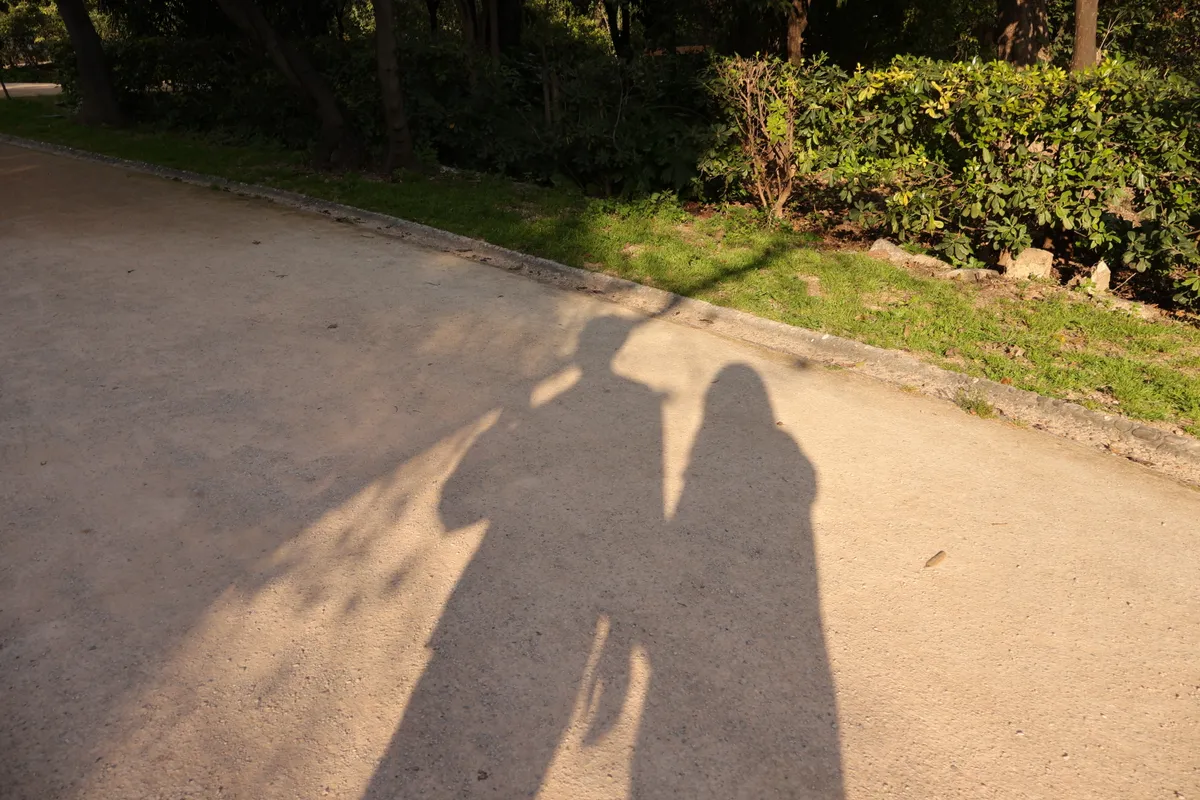 Us walking (into flies)