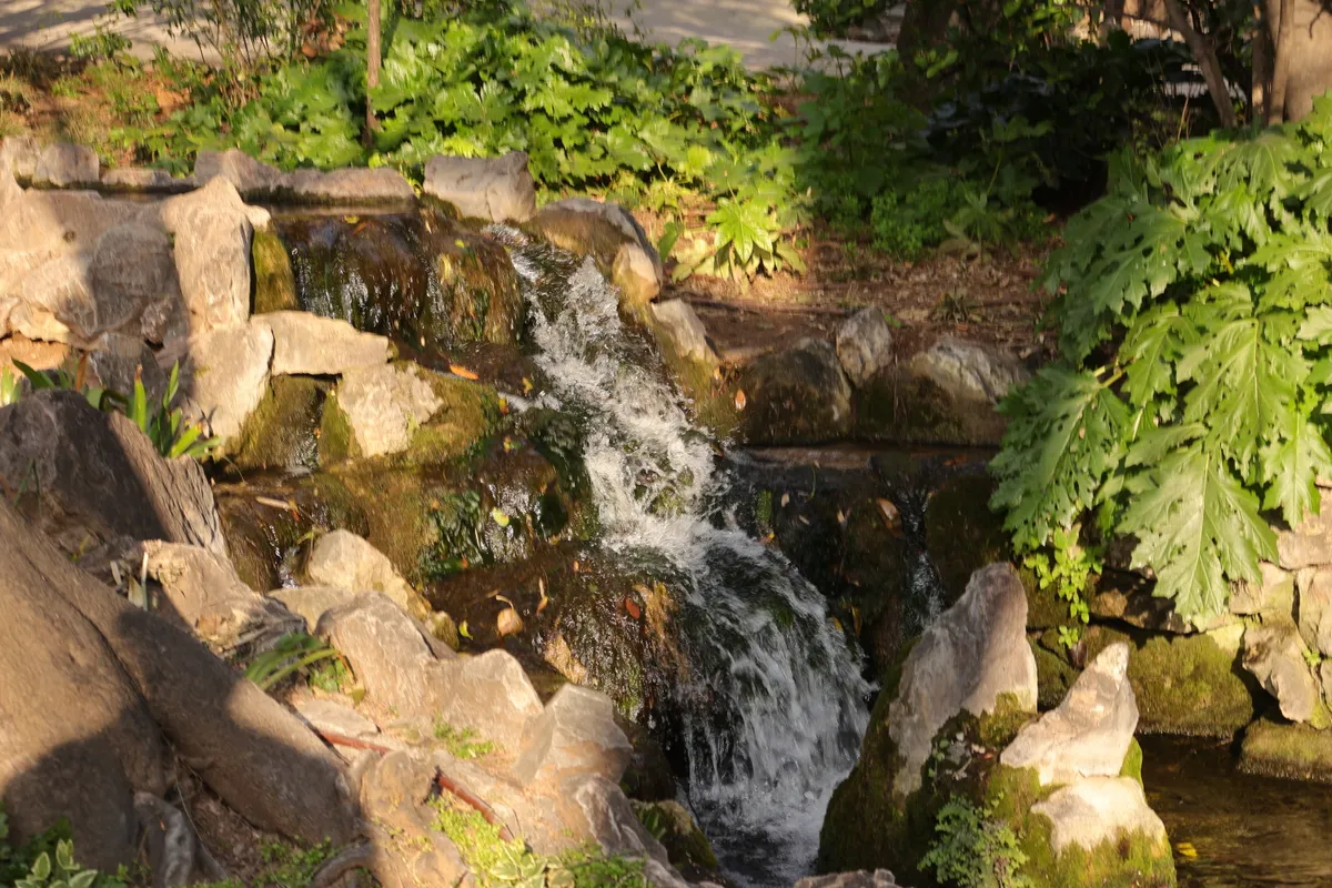 More garden waterscaping